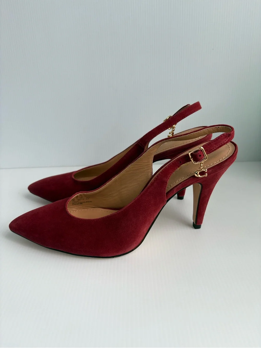 Coach size raspberry